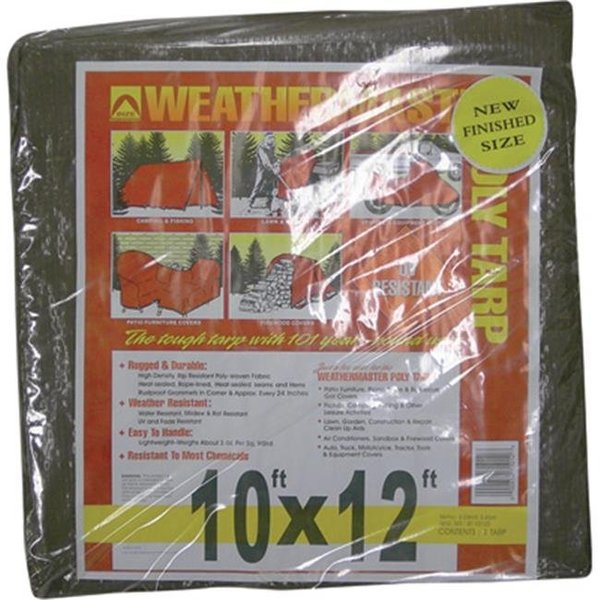 Dize Tarp, Brown, Polyethylene 117671